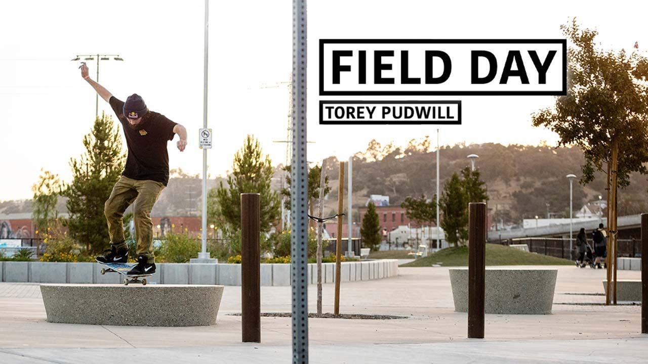 Torey Pudwill lahir pada 2 Mei 1990 di Simi Valley, California, Amerika Serikat. Seperti banyak skateboarder muda lainnya, Torey menemukan minatnya pada skateboard sejak usia muda.